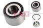 Комплект подшипников ступицы задней Renault 19/Clio I/II/Megane I | INA 713 6302 50 Германия 