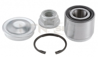 Комплект подшипников ступицы задней Renault 19/Clio I/II/Megane I | SNR R155.19 Франция
